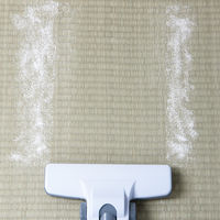 アイリスオーヤマ　サイクロンクリーナー　白　IC-C100-W（561962）