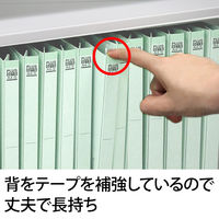 プラス 背補強フラットファイル ブルー A4タテ 79435 1袋（10冊入）