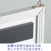 マグエックス　マグネット粘着付テープ強力　カットタイプ　MSTPC-25　1パック（2本入）