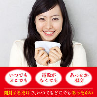 ホカロン30P 1セット（90個：30個入×3箱） ロッテ