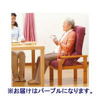 フランスベッド　円背サポートチェアENN　パープル　ENNー01 NAーPU　　35505010　1脚　（取寄品）