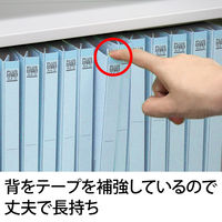 プラス 背補強フラットファイル ロイヤルブルー A4タテ 79431 1セット（30冊）