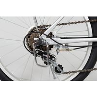 【自転車・折りたたみ】 ミムゴ ACTIVE911 ノーパンクFDB206S 1台（直送品）