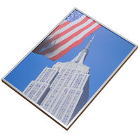 プラチナ万年筆　アケパネライト低反射タイプ　シルバー　A4サイズ　5枚