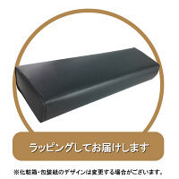 パーカー　ジョッターボールペン　1.0mm　ブラック軸　黒　ギフトケース入り　10本　56-1923-220