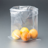 ポリ袋（規格袋）　LDPE・透明　0.03mm厚　16号　340×480mm　1セット（3000枚：100枚入×30袋）  オリジナル