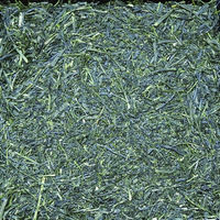 大井川茶園　茶師のおすすめ　鹿児島知覧茶　1袋（100g）　【茶葉産地：鹿児島】