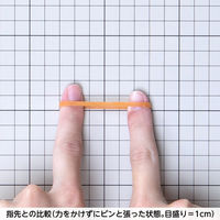 共和 オーバンド #170 1袋（1kg）