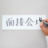 マグエックス マグネットカラーシートライト 白 MSCL-05 1パック（2枚入）