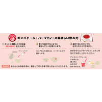 【ノンカフェイン】ポンパドール スパニッシュオレンジ 1箱(20バッグ入)【ティーバッグ】