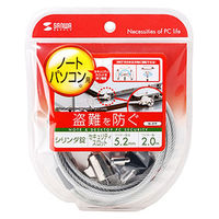 サンワサプライ ノートパソコンセキュリティ SL-31F 1本