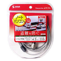 サンワサプライ ノートパソコンセキュリティ SL-31S 1本（直送品）