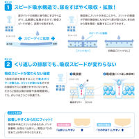 ネピアテンダー　パッドエクストラ800SP　1箱　(120枚：30枚入×4パック）　王子ネピア