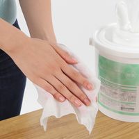 ウェットティッシュ　除菌シート　本体　大容量　除菌　ノンアルコールタイプ業務用　1個（300枚入）　伊藤忠リーテイルリンク