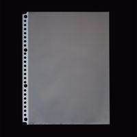 リヒトラブ(LIHIT LAB.) 26穴クリヤーポケットB5 G49060 1袋（20枚入）