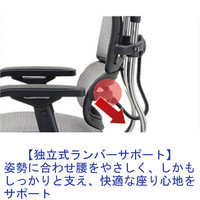 【組立設置込】エルゴヒューマン ベーシック ハイタイプ オフィスチェア エラストメリックメッシュ 肘付 ホワイト/KM16 EH-HAM 1脚（取寄品）