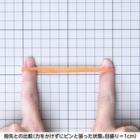 共和 オーバンド #260 1袋（1kg）