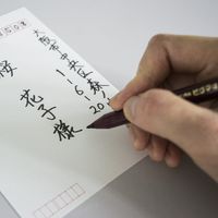 サクラクレパス 水性マーカー ピグマはがきぺん 細字 黒 SDKハガキ#49 1セット(10本)