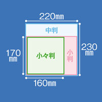 ペーパータオル  ペーパータオル 小々判・シングル 再生紙 FSC認証紙 1個（220枚入） EBS オリジナル