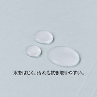 フラットファイル　PPラミネート　A4タテ　10冊　ブルー　アスクル  オリジナル