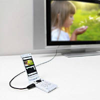 サンワサプライ イーサネット対応ハイスピードHDMIマイクロケーブル KM-HD23-10（直送品）