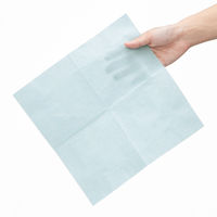 溝端紙工印刷 カラーナプキン 4つ折り 2PLY アクアブルー 1袋（50枚入）  オリジナル