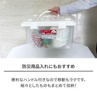 天馬 プロフィックス フリーボックス ハンドル付き 35L 811000261
