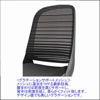 81L1GR FGR2 |オカムラ ルーチェ オフィスチェア ホワイトフレーム 肘無し ホワイト 1脚（直送品）