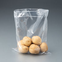 ポリ袋（規格袋）　LDPE・透明　0.02mm厚　13号　260mm×380mm　1セット（4000枚：2000枚入×2箱）  オリジナル