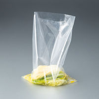 ポリ規格袋（ポリ袋）　LDPE・透明　0.04mm厚　12号　230mm×340mm　1袋（100枚入）　伊藤忠リーテイルリンク