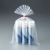 ポリ規格袋（ポリ袋）　LDPE・透明　0.04mm厚　15号　300mm×450mm　1袋（100枚入）　伊藤忠リーテイルリンク