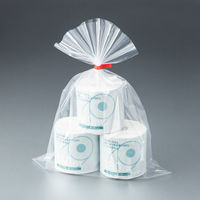 ポリ規格袋（ポリ袋）　LDPE・透明　0.04mm厚　17号　360mm×500mm　1袋（100枚入）　伊藤忠リーテイルリンク