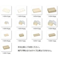 蝶プラ工業 持続性透明帯電防止ケース EBR4F 781446 1個 1-6254-12（直送品）