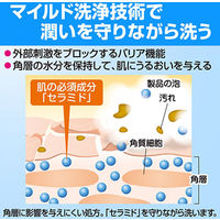ソフティ泡のヘッド＆ボディシャンプー 業務用詰め替え10L 全身シャンプー 花王