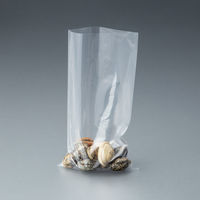 ポリ規格袋（ポリ袋）　LDPE・透明　0.04mm厚　8号　130mm×250mm　1セット（1000枚：100枚入×10袋）　伊藤忠リーテイルリンク