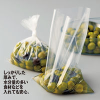 ポリ規格袋（ポリ袋）　LDPE・透明　0.04mm厚　10号　180mm×270mm　1セット（1000枚：100枚入×10袋）　伊藤忠リーテイルリンク