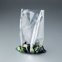 規格袋（ポリ袋） LDPE・透明 0.04mm厚 11号 200mm×300mm 1セット（1000枚：100枚入×10袋）伊藤忠リーテイルリンク