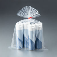 ポリ規格袋（ポリ袋）　LDPE・透明　0.04mm厚　16号　340mm×480mm　1セット（1000枚：100枚入×10袋）　伊藤忠リーテイルリンク