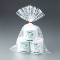 規格袋（ポリ袋） LDPE・透明 0.04mm厚 18号 380mm×530mm 1セット（1000枚：100枚入×10袋）伊藤忠リーテイルリンク