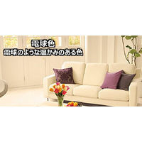 パナソニック　三波長形蛍光ランプ　40W形　ラピッドスタート形　電球色　FLR40SEXLM10K　1箱（10本入）