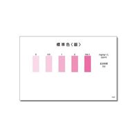 共立理化学研究所 パックテスト(R) (簡易水質検査器具) 銀 1箱(5本×10袋入) WAK-Ag 1箱 6-8675-29（直送品）