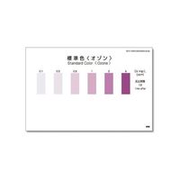 共立理化学研究所 パックテスト(R) (簡易水質検査器具) オゾン 1箱(5本×10袋入) WAK-O3 1箱 6-8675-43（直送品）