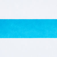 油性ペン マジックインキ 極太 空色 寺西化学工業 MGD-T11