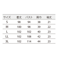 住商モンブラン ナースワンピース（半袖） 医療白衣 サックスブルー（水色） L 73-1776（直送品）