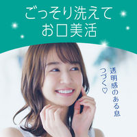 マウスウォッシュ 洗口液 口臭 モンダミン クリアミント 1000mL 1セット（3本）低刺激タイプ 口臭対策 アース製薬