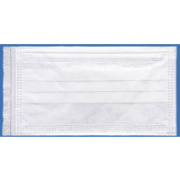 ファーストレイト　1パックマスク 3層式　レギュラーサイズ　ホワイト　FR-196　使い捨て　不織布　1箱（50枚入）