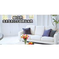 パナソニック　三波長形蛍光ランプ　40W形　グロースタータ形　昼白色　FL40SSENW372K　1箱（2本入）