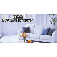 パナソニック　三波長形蛍光ランプ　40W形　グロースタータ形　昼光色　FL40SSECW372K　1箱（2本入）