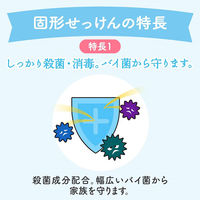 ミューズ 石鹸 レギュラー 95g 1セット（3個入×10パック） レキットベンキーザー・ジャパン