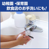 ビオレu泡ハンドソープ　シトラスの香り　本体250mL　1個【泡タイプ】花王